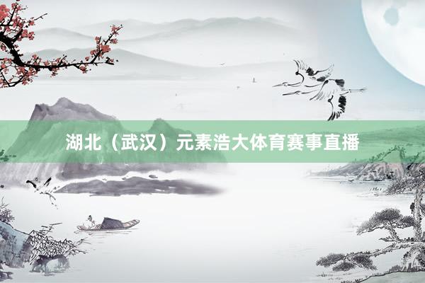 湖北（武汉）元素浩大体育赛事直播