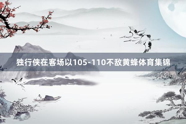 独行侠在客场以105-110不敌黄蜂体育集锦