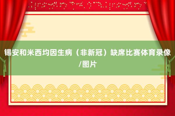 锡安和米西均因生病（非新冠）缺席比赛体育录像/图片