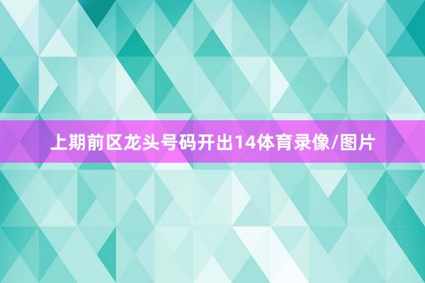 上期前区龙头号码开出14体育录像/图片