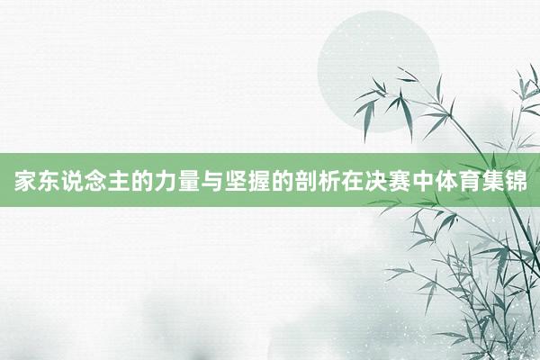 家东说念主的力量与坚握的剖析在决赛中体育集锦