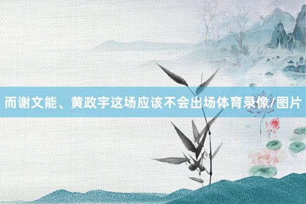 而谢文能、黄政宇这场应该不会出场体育录像/图片