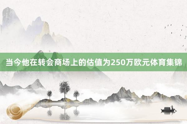 当今他在转会商场上的估值为250万欧元体育集锦