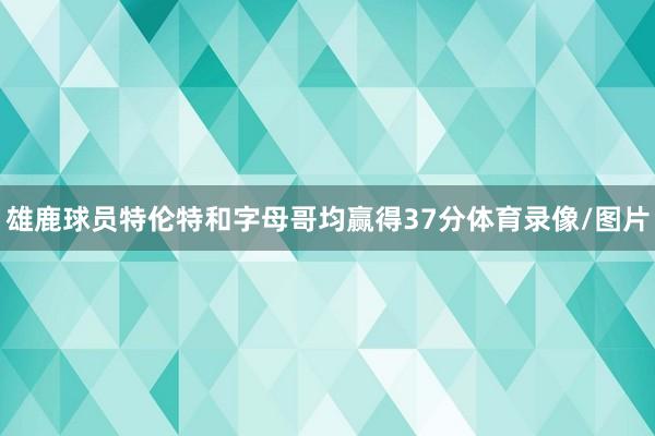 雄鹿球员特伦特和字母哥均赢得37分体育录像/图片