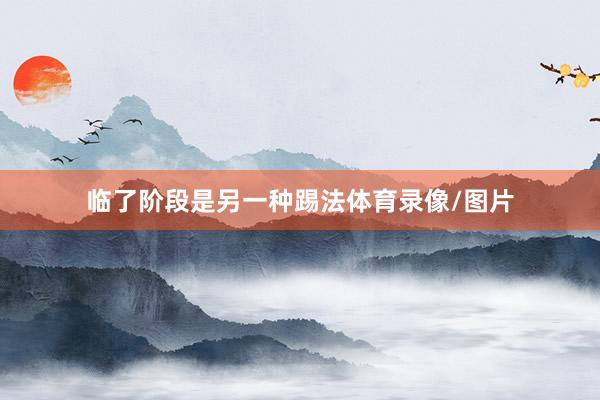 临了阶段是另一种踢法体育录像/图片