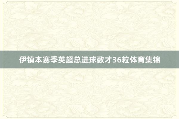 伊镇本赛季英超总进球数才36粒体育集锦