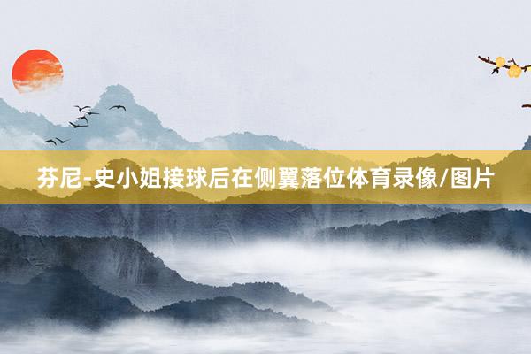 芬尼-史小姐接球后在侧翼落位体育录像/图片
