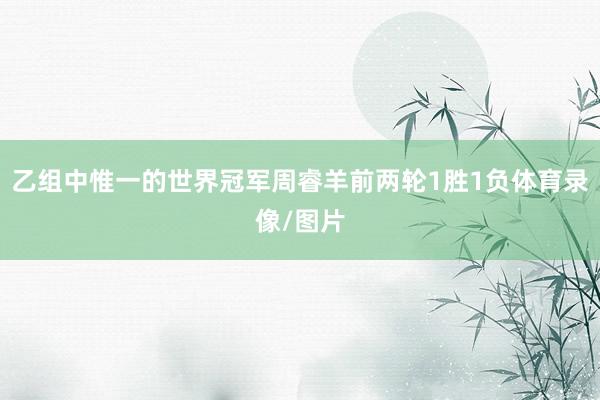 乙组中惟一的世界冠军周睿羊前两轮1胜1负体育录像/图片