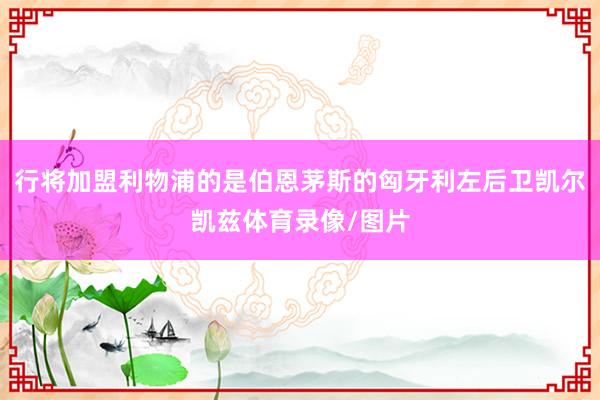 行将加盟利物浦的是伯恩茅斯的匈牙利左后卫凯尔凯兹体育录像/图片