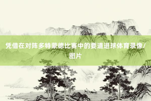 凭借在对阵多特蒙德比赛中的要道进球体育录像/图片