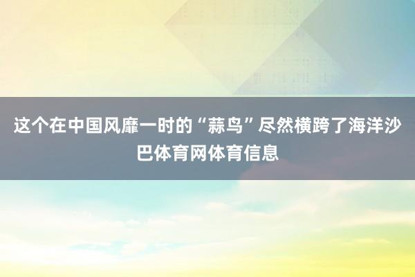这个在中国风靡一时的“蒜鸟”尽然横跨了海洋沙巴体育网体育信息