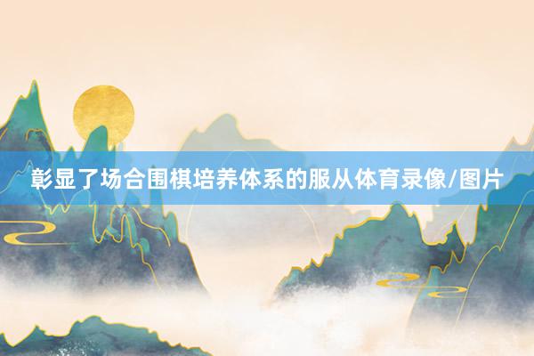 彰显了场合围棋培养体系的服从体育录像/图片