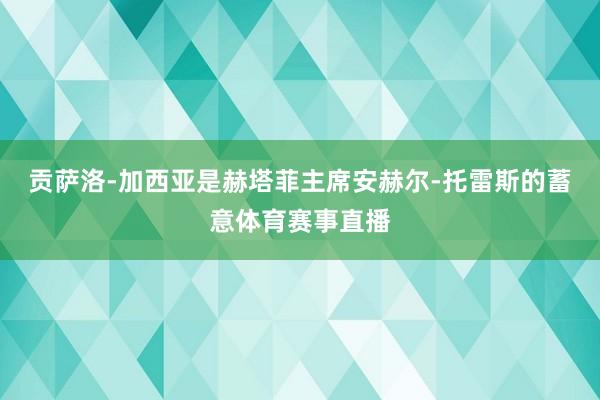 贡萨洛-加西亚是赫塔菲主席安赫尔-托雷斯的蓄意体育赛事直播