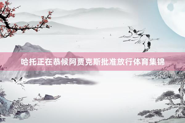 哈托正在恭候阿贾克斯批准放行体育集锦