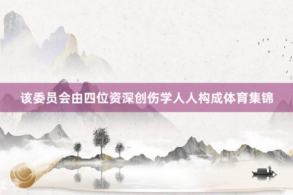 该委员会由四位资深创伤学人人构成体育集锦