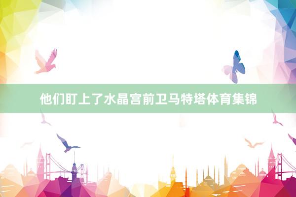他们盯上了水晶宫前卫马特塔体育集锦
