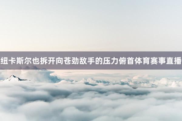 纽卡斯尔也拆开向苍劲敌手的压力俯首体育赛事直播