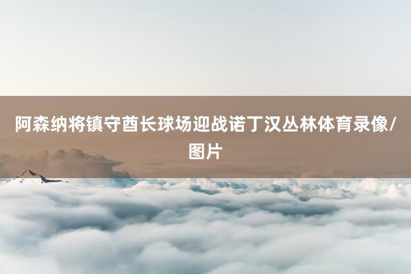 阿森纳将镇守酋长球场迎战诺丁汉丛林体育录像/图片