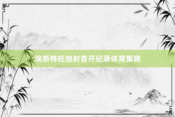 埃斯特旺抽射首开纪录体育集锦