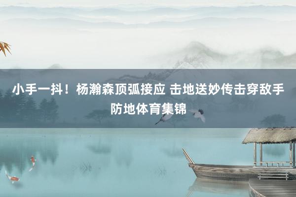 小手一抖！杨瀚森顶弧接应 击地送妙传击穿敌手防地体育集锦