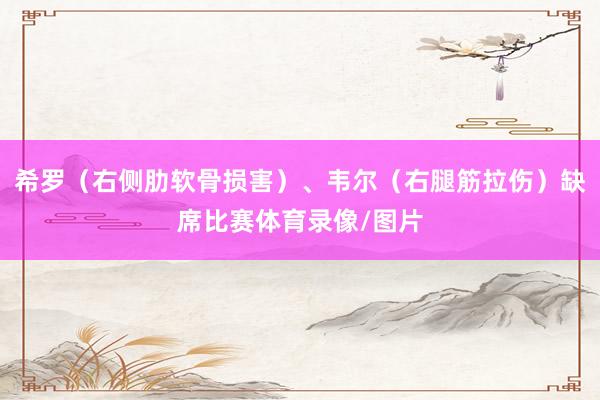 希罗（右侧肋软骨损害）、韦尔（右腿筋拉伤）缺席比赛体育录像/图片