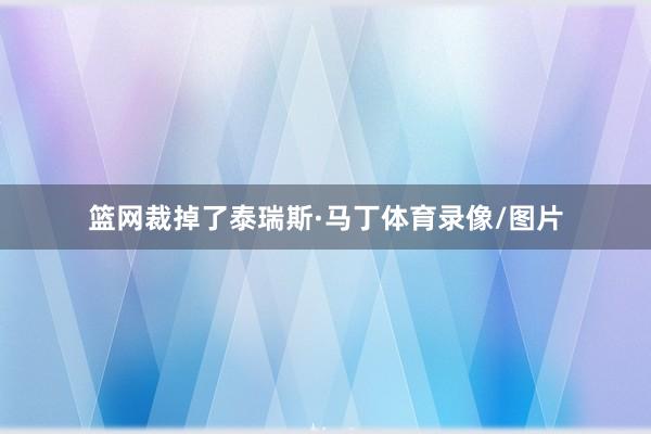 篮网裁掉了泰瑞斯·马丁体育录像/图片