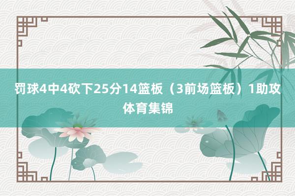 罚球4中4砍下25分14篮板(3前场篮板)1助攻体育集锦