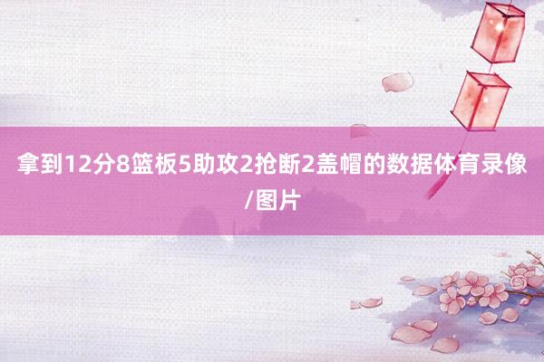 拿到12分8篮板5助攻2抢断2盖帽的数据体育录像/图片