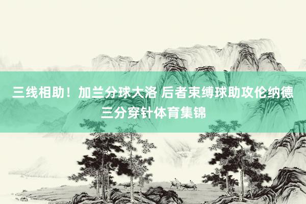 三线相助！加兰分球大洛 后者束缚球助攻伦纳德三分穿针体育集锦