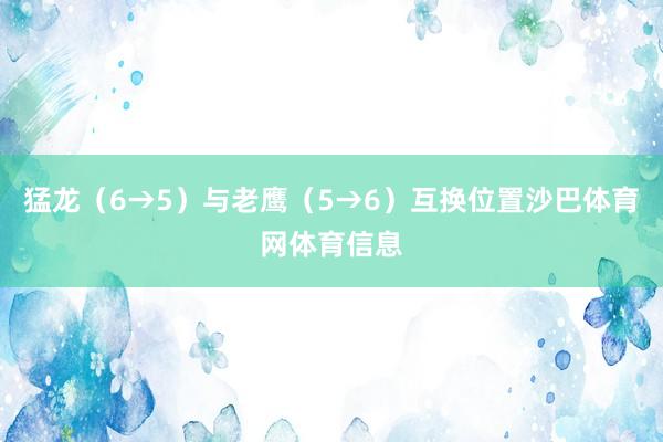 猛龙（6→5）与老鹰（5→6）互换位置沙巴体育网体育信息