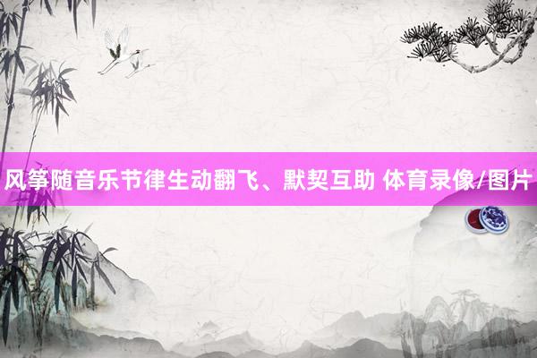 风筝随音乐节律生动翻飞、默契互助 体育录像/图片