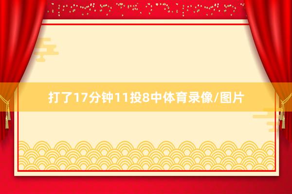 打了17分钟11投8中体育录像/图片