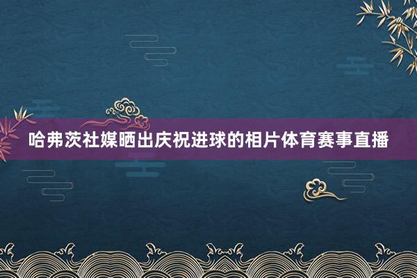 哈弗茨社媒晒出庆祝进球的相片体育赛事直播