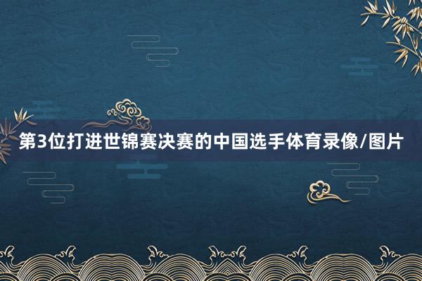 第3位打进世锦赛决赛的中国选手体育录像/图片