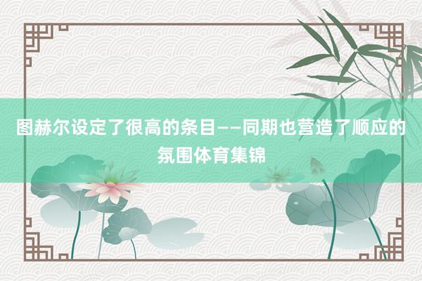 图赫尔设定了很高的条目——同期也营造了顺应的氛围体育集锦