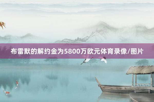 布雷默的解约金为5800万欧元体育录像/图片