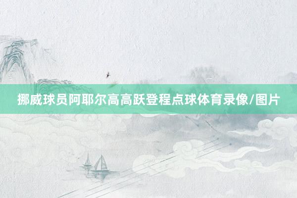 挪威球员阿耶尔高高跃登程点球体育录像/图片